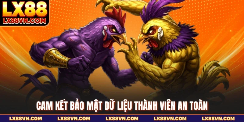 Cam kết bảo mật dữ liệu thành viên an toàn