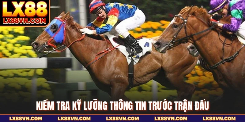 Kiểm tra kỹ lưỡng thông tin trước trận đấu