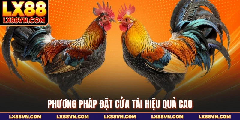 Phương pháp đặt cửa tài hiệu quả cao